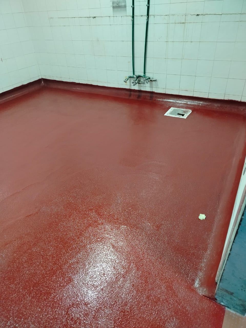 Media caña y coladera sanitaria